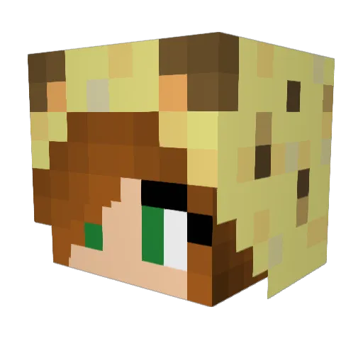 Kot_Ocelot Minecraft avatar head, 3D render
