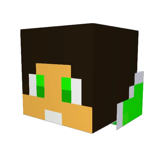 Kota0117 Minecraft avatar head, 3D render