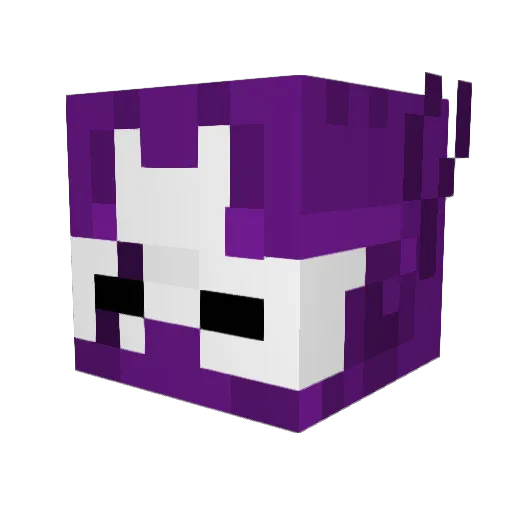 Kota1195 Minecraft avatar head, 3D render