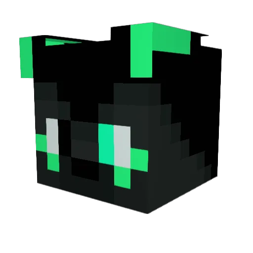 KotaFen Minecraft avatar head, 3D render
