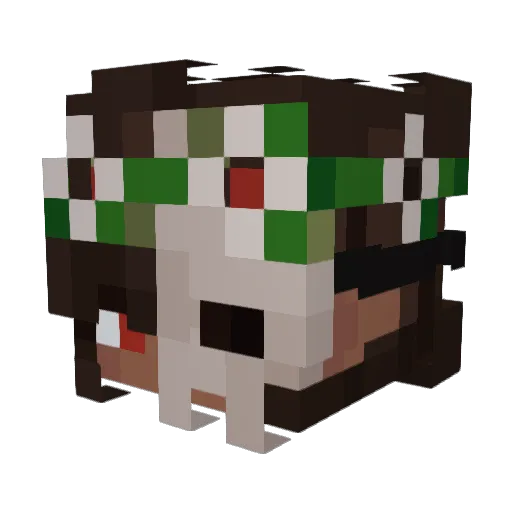 KotaPawsy Minecraft avatar head, 3D render