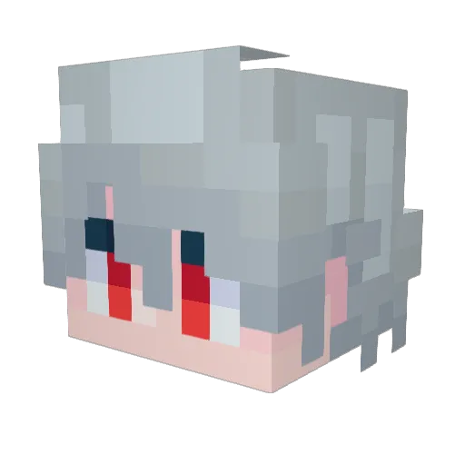 Kota_ST Minecraft avatar head, 3D render