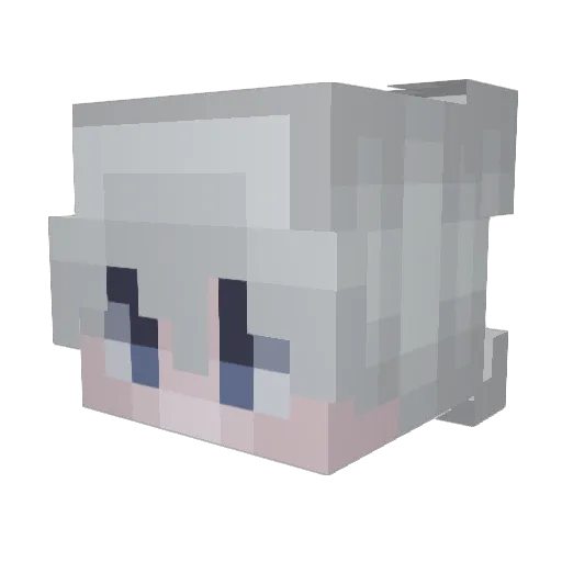 Kotakux Minecraft avatar head, 3D render