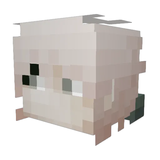 Kotenok666 Minecraft avatar head, 3D render