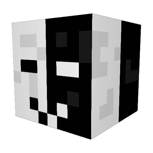 Koth_e Minecraft avatar head, 3D render