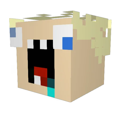 Kotik2 Minecraft avatar head, 3D render