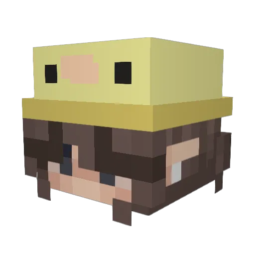 Kotka_Rosa Minecraft avatar head, 3D render