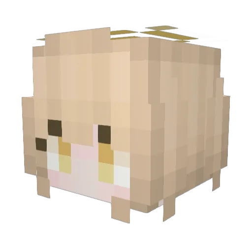 Kotorri_ Minecraft avatar head, 3D render