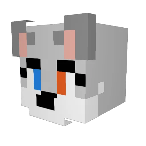Kottarnaal Minecraft avatar head, 3D render