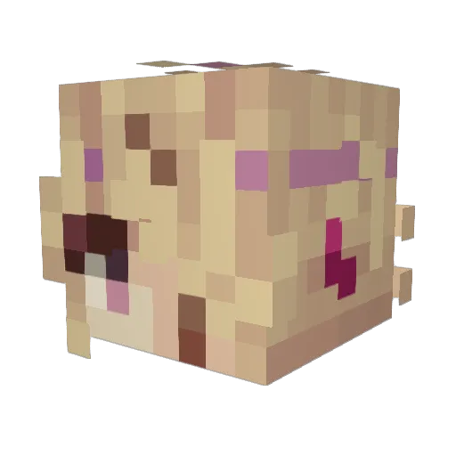 Kottyara Minecraft avatar head, 3D render