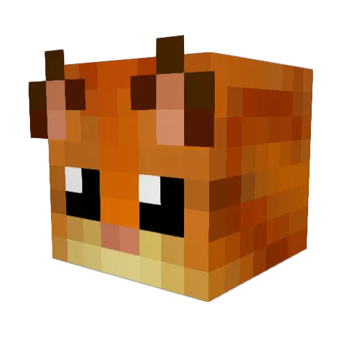 Kotzor Minecraft avatar head, 3D render