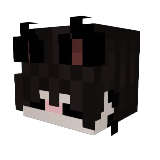 Kouga_Shimosa Minecraft avatar head, 3D render