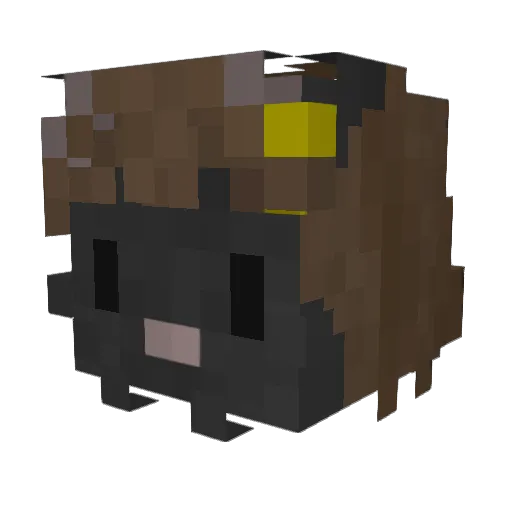 KoulAed Minecraft avatar head, 3D render