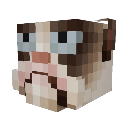 Koupa Minecraft avatar head, 3D render