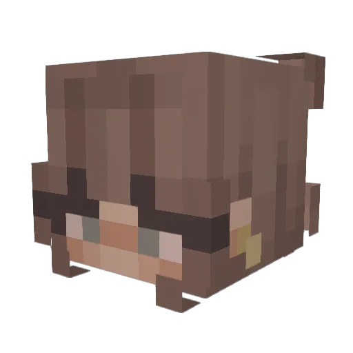 Koutaji Minecraft avatar head, 3D render