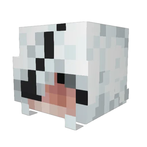 Kovan1 Minecraft avatar head, 3D render