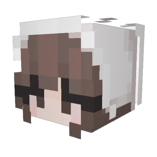KovaskiGG Minecraft avatar head, 3D render