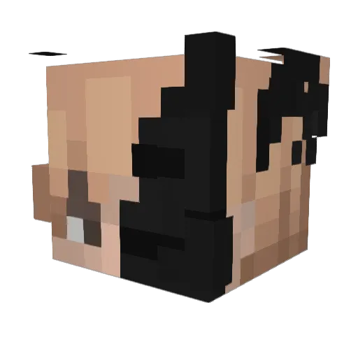 KoverDrive Minecraft avatar head, 3D render