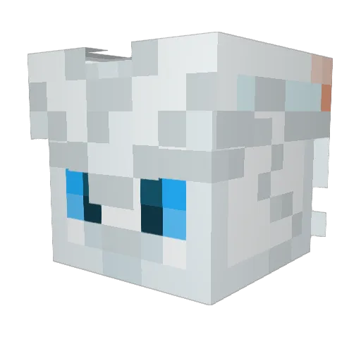Kovurs Minecraft avatar head, 3D render