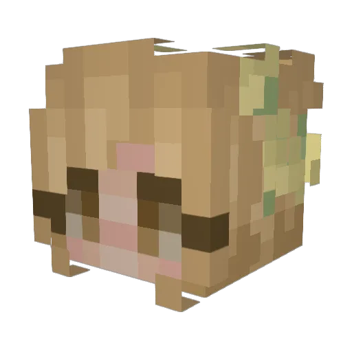 KowaiBee Minecraft avatar head, 3D render