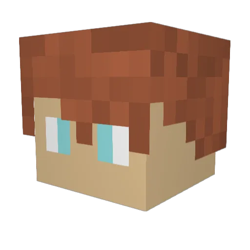 Koxu223 Minecraft avatar head, 3D render