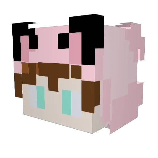 Koxu550__ Minecraft avatar head, 3D render