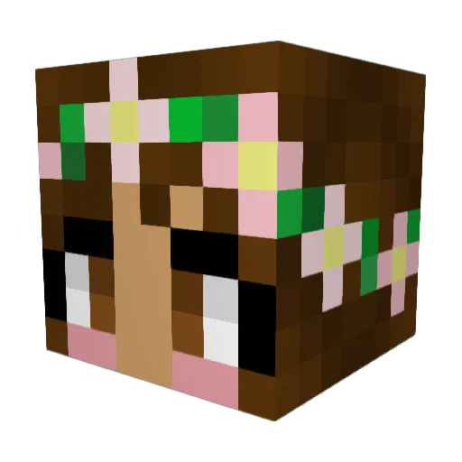Koya2910 Minecraft avatar head, 3D render
