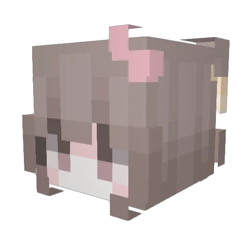 Koyizmi Minecraft avatar head, 3D render