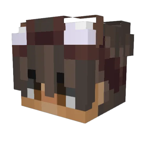 Koziol_ Minecraft avatar head, 3D render