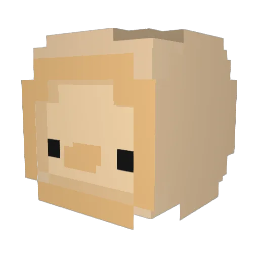 Kozwell Minecraft avatar head, 3D render