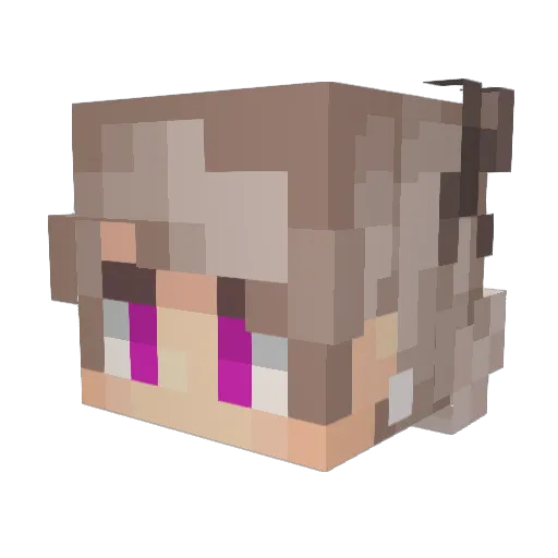 Kpawnage Minecraft avatar head, 3D render