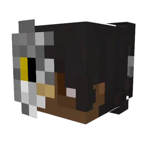 Kqpi Minecraft avatar head, 3D render