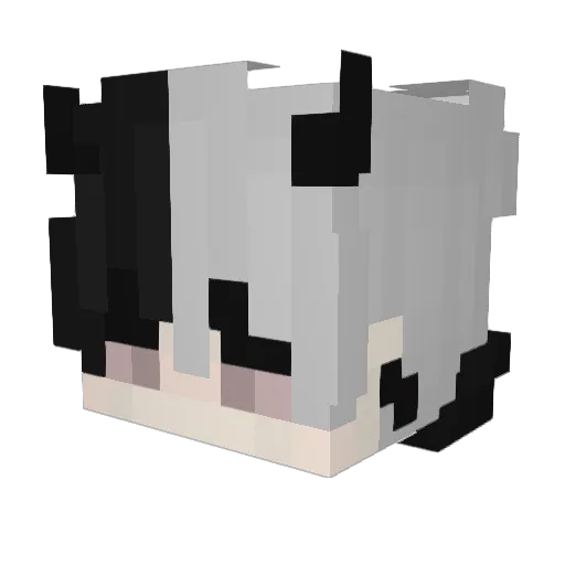 Kqssadilla Minecraft avatar head, 3D render
