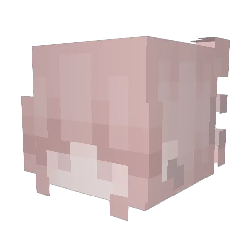 Kqtience Minecraft avatar head, 3D render