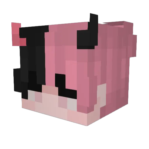 Kr0kys Minecraft avatar head, 3D render