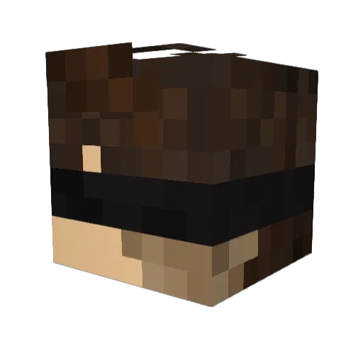 Kr1ptzin Minecraft avatar head, 3D render