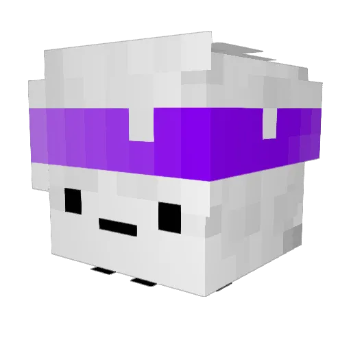 Kraadawgg Minecraft avatar head, 3D render