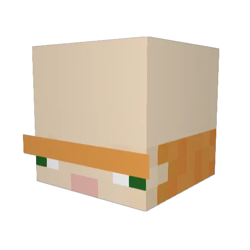 Kraagger Minecraft avatar head, 3D render