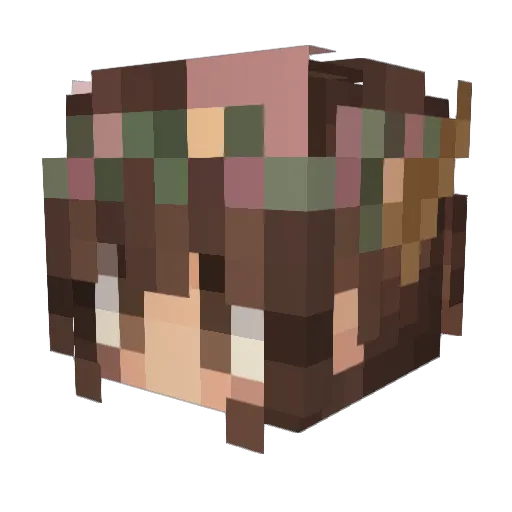 Krabskat Minecraft avatar head, 3D render