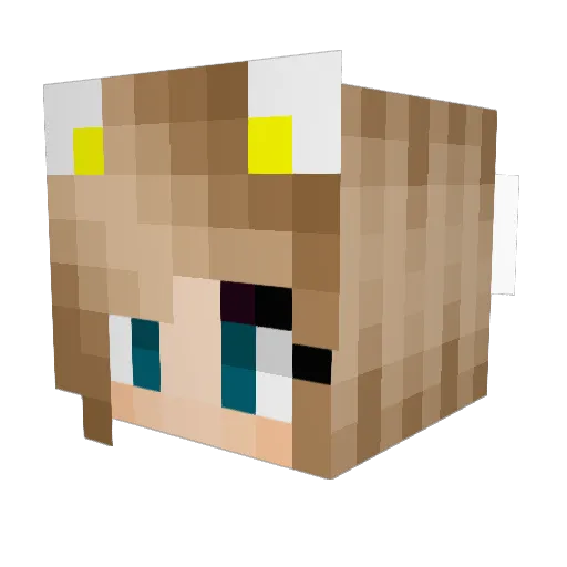 Kraeterr Minecraft avatar head, 3D render