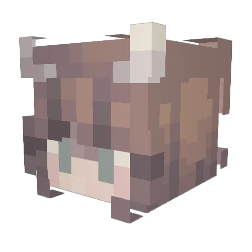 Kraiters Minecraft avatar head, 3D render