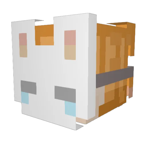 KralikVcz Minecraft avatar head, 3D render
