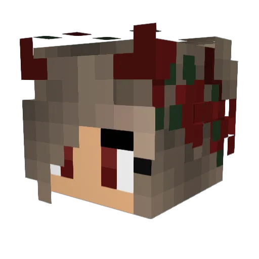 Krallensprung Minecraft avatar head, 3D render