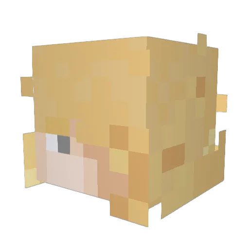 Kralmig Minecraft avatar head, 3D render