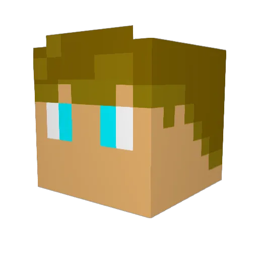KraneBT Minecraft avatar head, 3D render