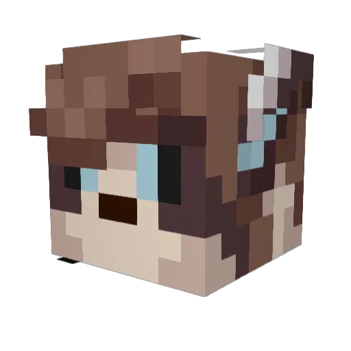 Kranoes Minecraft avatar head, 3D render