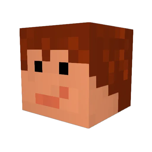 Kraowl Minecraft avatar head, 3D render