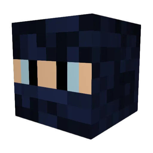 Krass_ Minecraft avatar head, 3D render