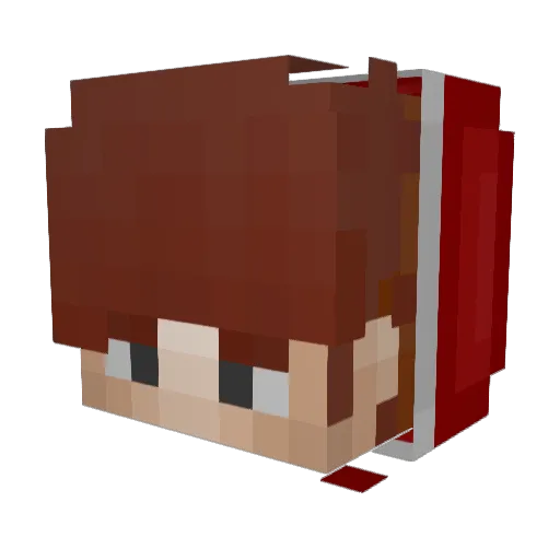 Kraushe Minecraft avatar head, 3D render