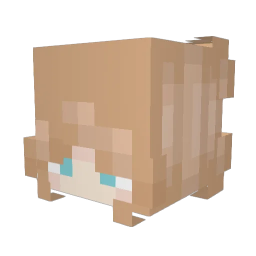 Krautbax Minecraft avatar head, 3D render